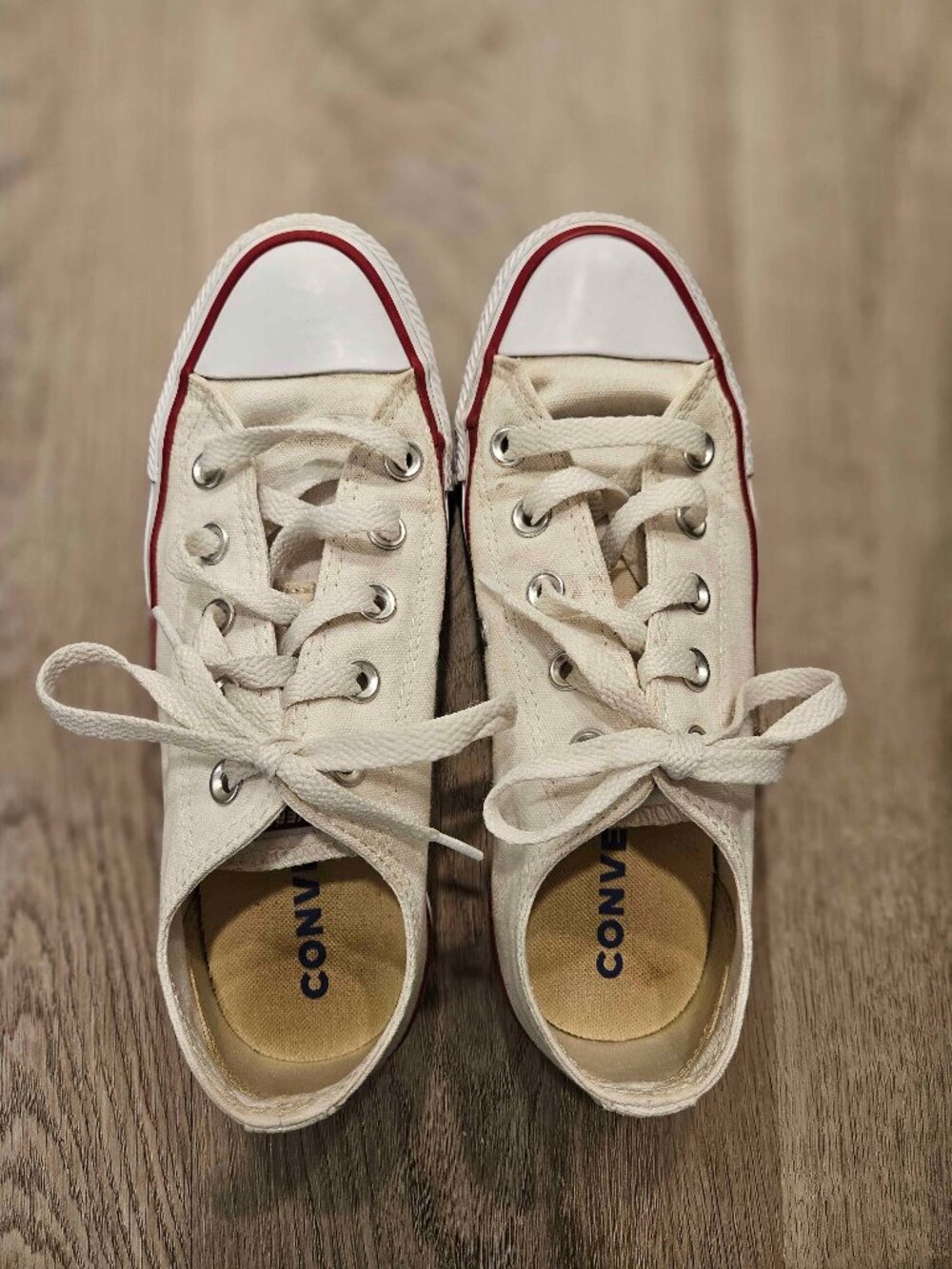 Converse Chuck Taylor Low Top Sneaker, Optic White, Size 6